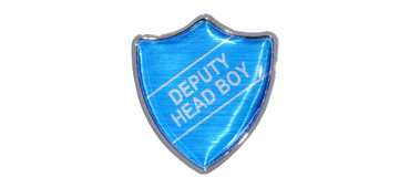 School badges - Light blue print with silver border & background | www.namebadgesinternational.co.uk